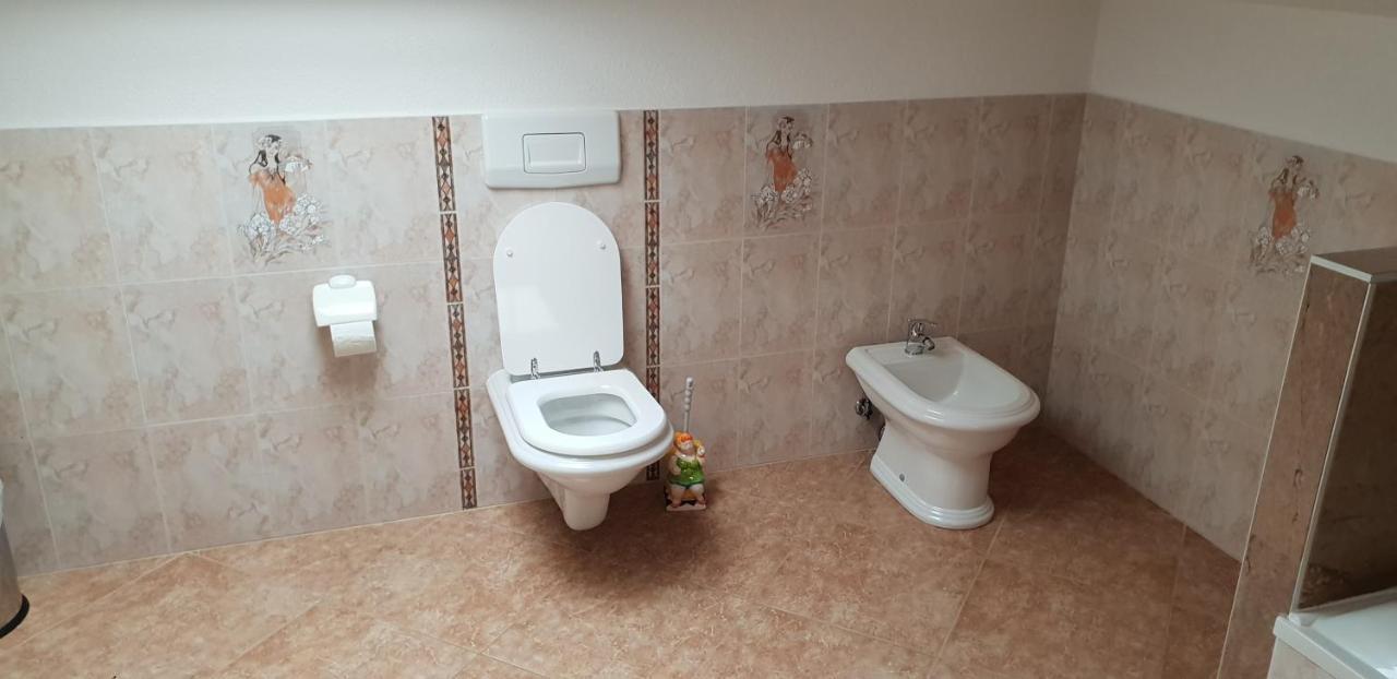 Apartmani Citrus Novigrad Filipac Bagian luar foto