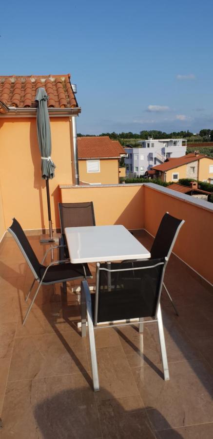 Apartmani Citrus Novigrad Filipac Bagian luar foto