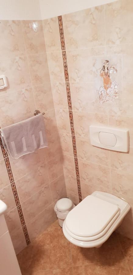 Apartmani Citrus Novigrad Filipac Bagian luar foto