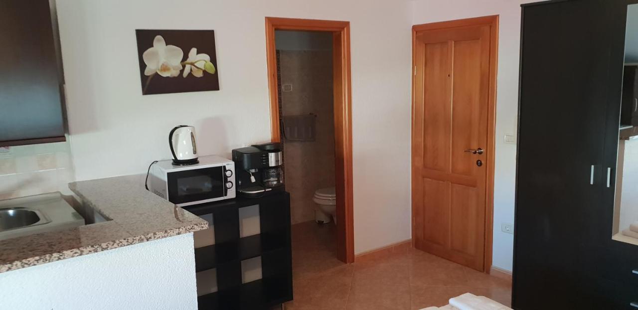 Apartmani Citrus Novigrad Filipac Bagian luar foto
