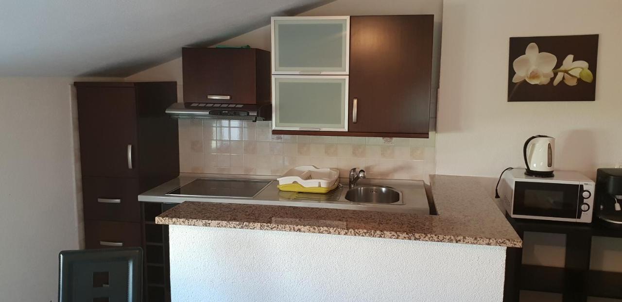 Apartmani Citrus Novigrad Filipac Bagian luar foto