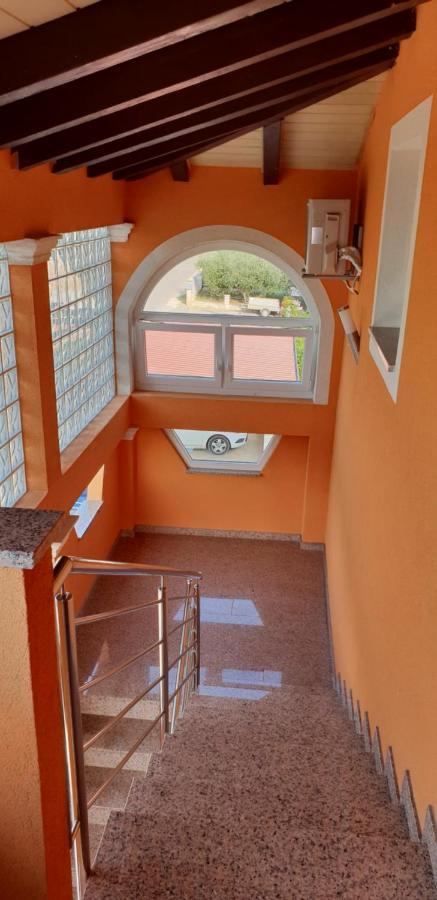 Apartmani Citrus Novigrad Filipac Bagian luar foto